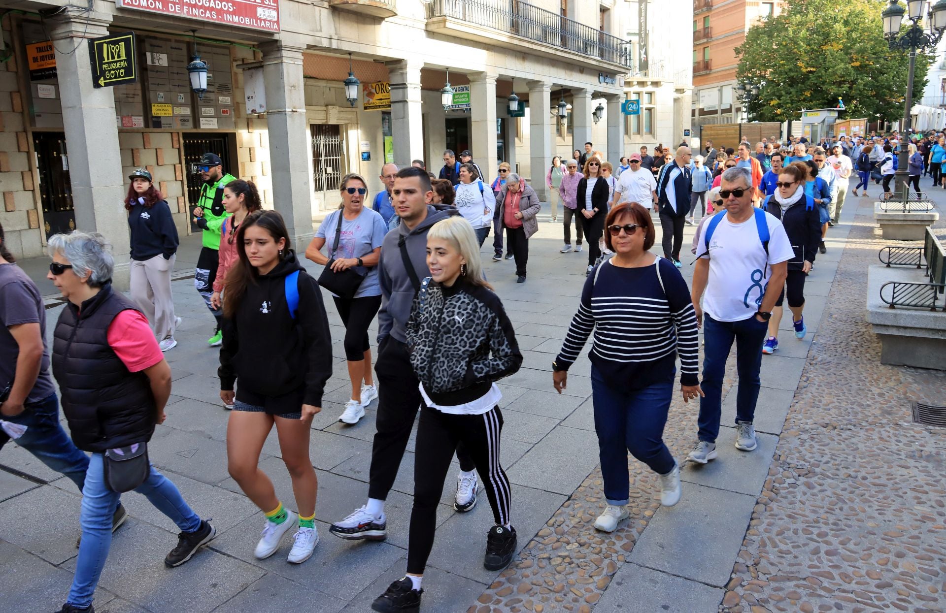 La marcha Apadefim en Segovia, en imágenes
