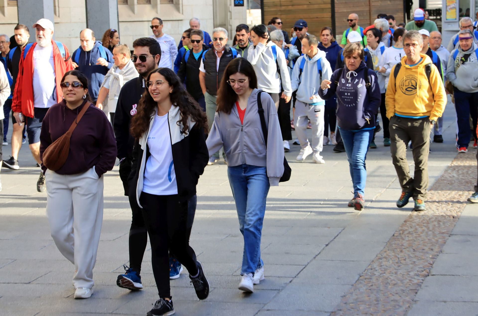 La marcha Apadefim en Segovia, en imágenes