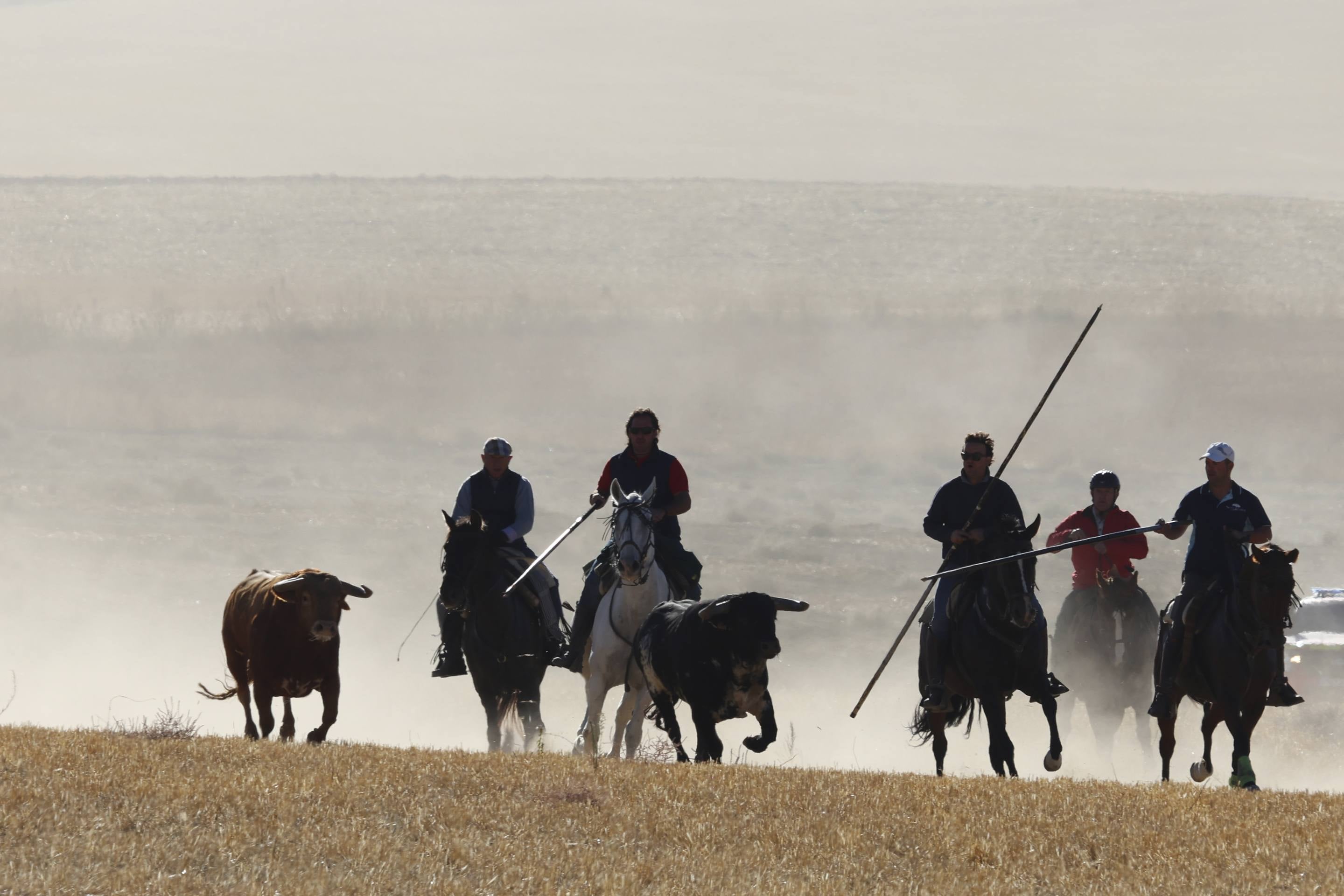 El último encierro mixto de las fiestas de Mojados 2025, en imágenes