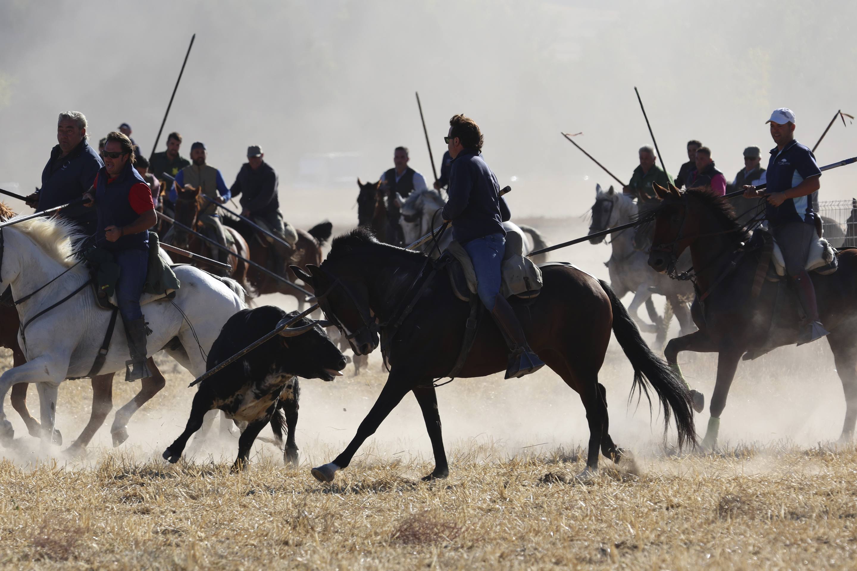El último encierro mixto de las fiestas de Mojados 2025, en imágenes