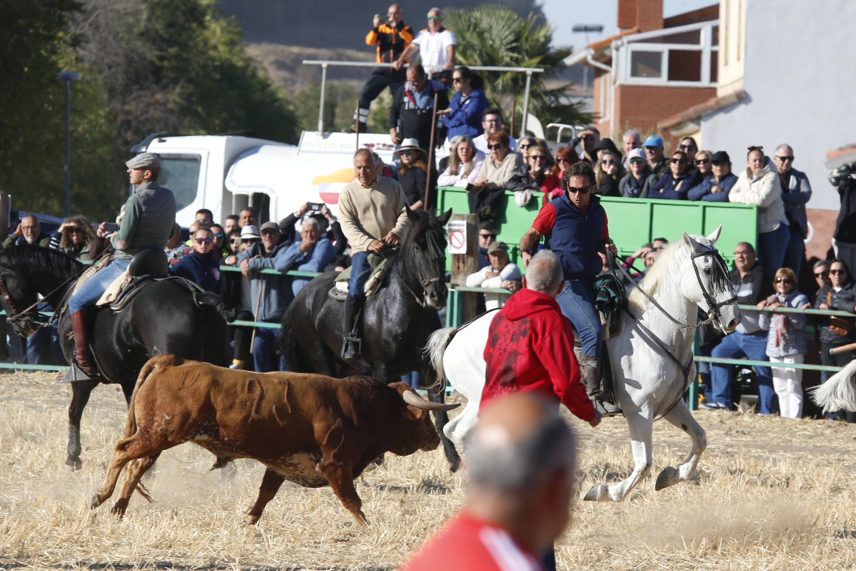 El último encierro mixto de las fiestas de Mojados 2025, en imágenes