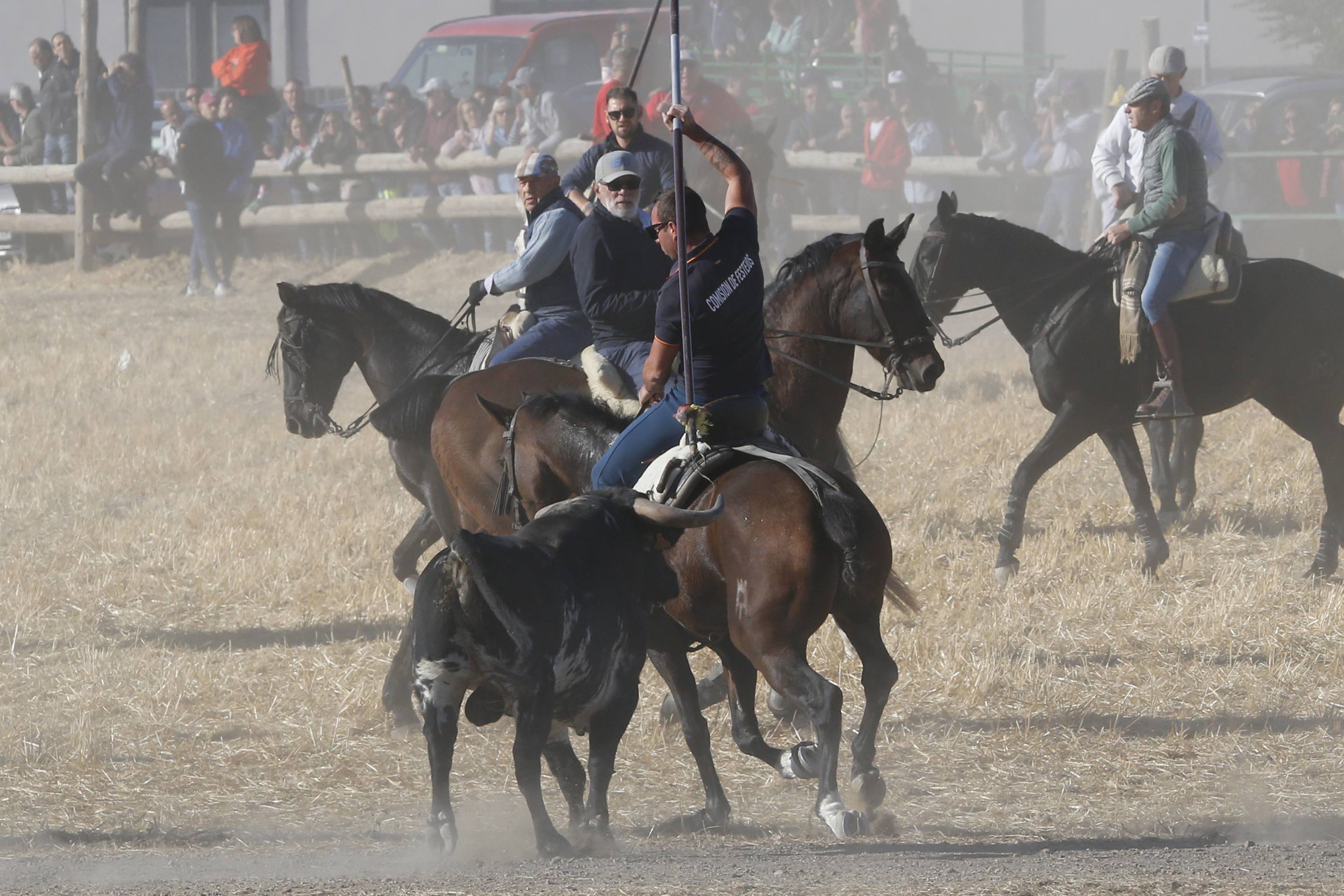 El último encierro mixto de las fiestas de Mojados 2025, en imágenes