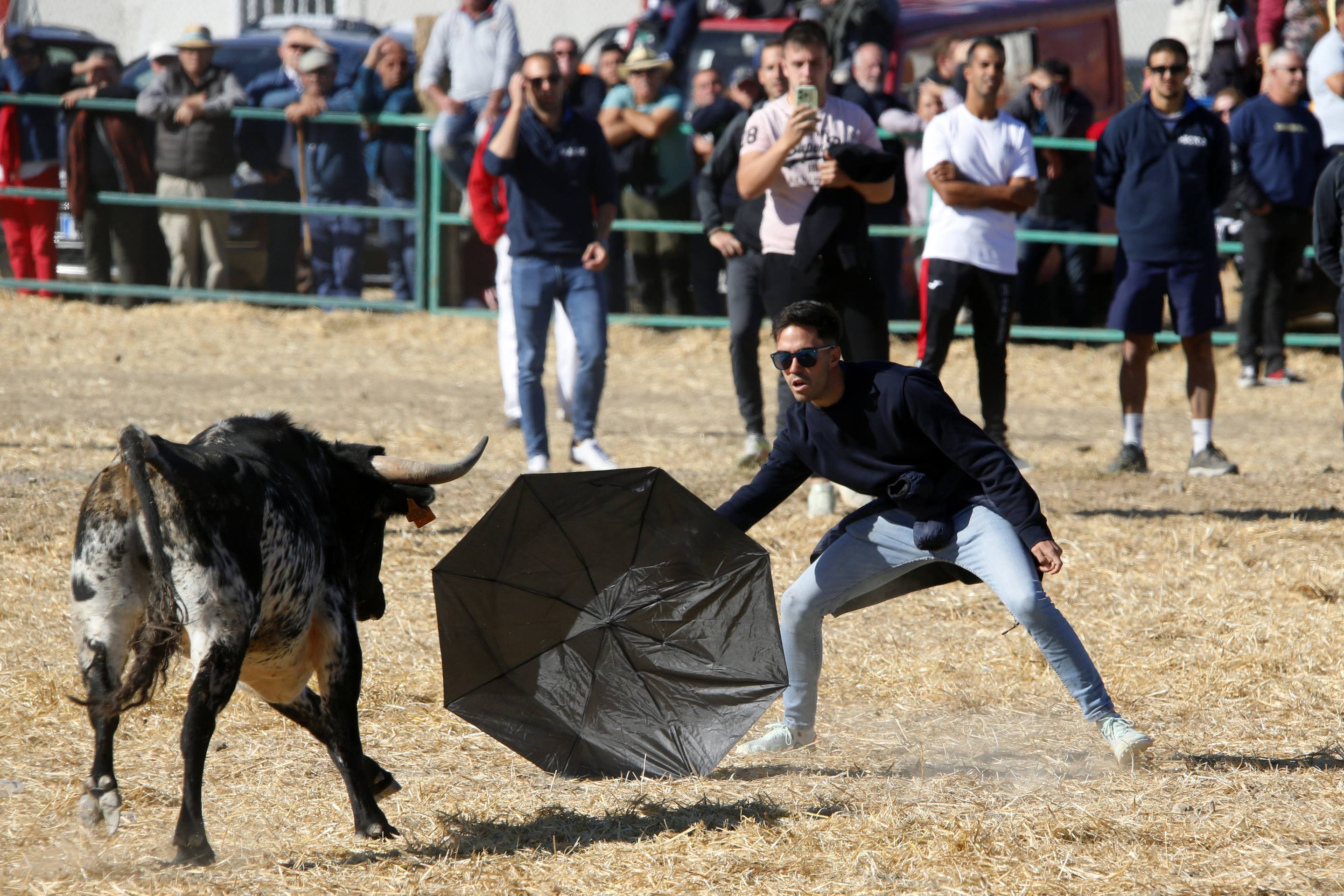 El último encierro mixto de las fiestas de Mojados 2025, en imágenes