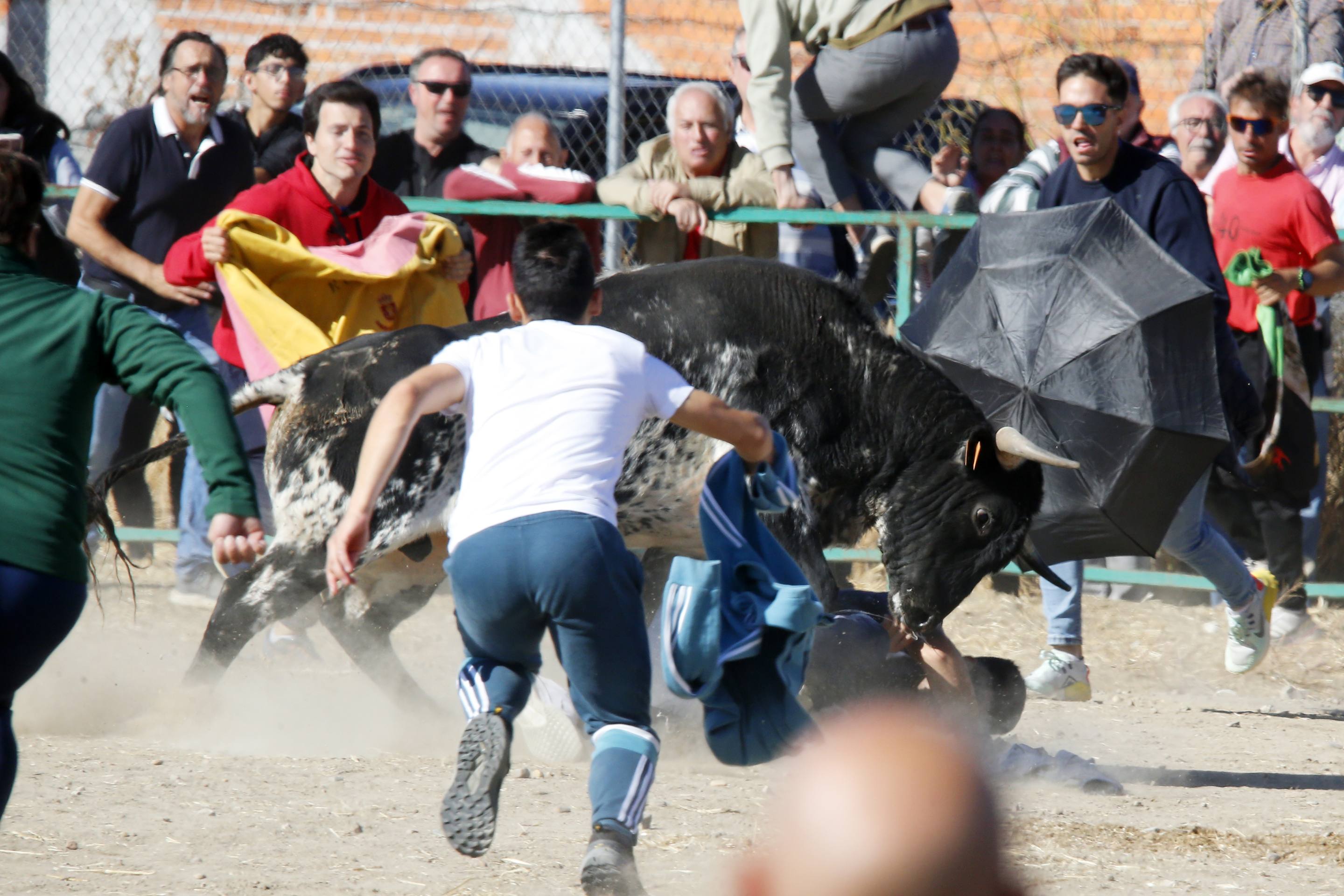 El último encierro mixto de las fiestas de Mojados 2025, en imágenes