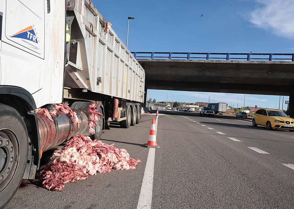 Imagen secundaria 1 - El carril cortado por la presencia de tripas de conejo.