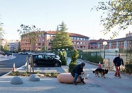 Un hombre utiliza uno de los nuevos bancos en el entorno del Tierno Galván.