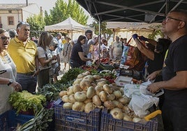 Feria de la cebolla de Palenzuela en la edición de 2023.