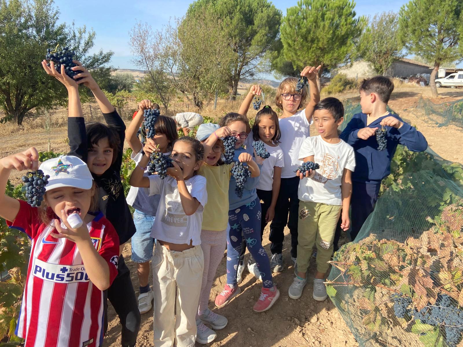 Alumnos de Baltanás celebran la Fiesta de la Vendimia