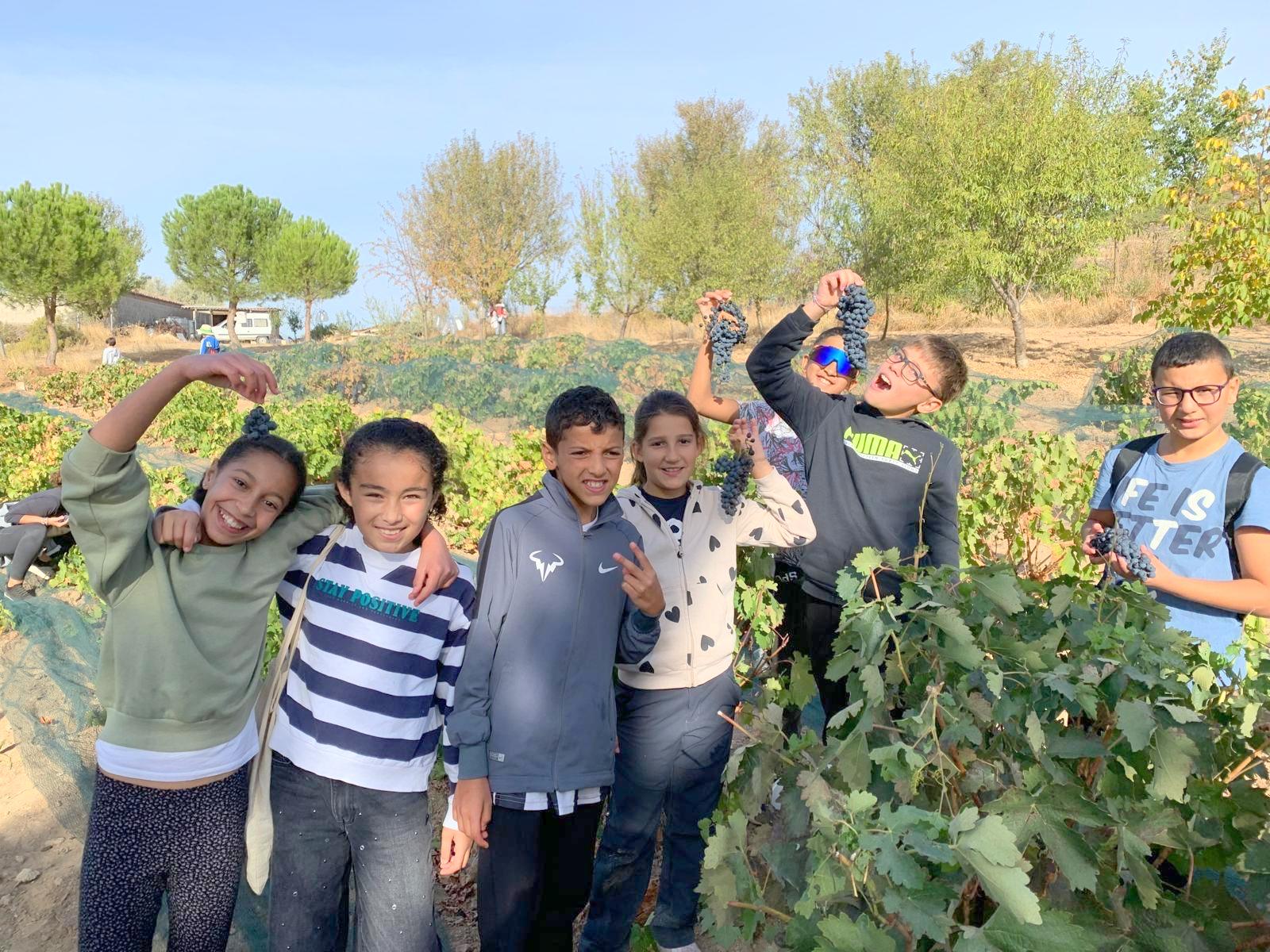 Alumnos de Baltanás celebran la Fiesta de la Vendimia