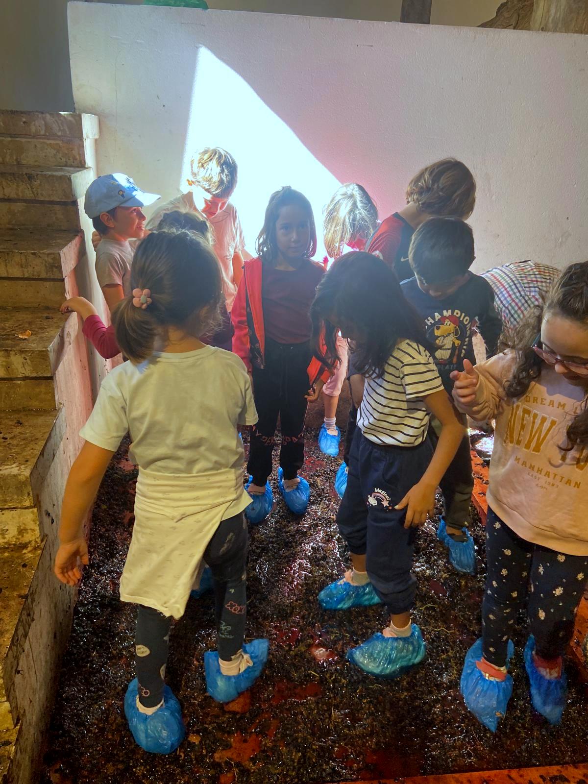 Alumnos de Baltanás celebran la Fiesta de la Vendimia