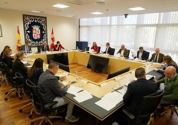 Las Cortes fijan las incompatibilidades de los procuradores: ni asesoramiento, ni defensa, ni contratos públicos