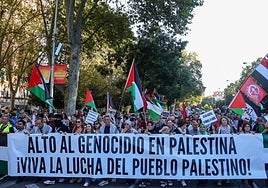 Manifestación en apoyo a Palestina en Madrid.