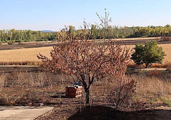 Las imágenes de la situación actual en Castrocalbón y Quintana y Congosto tras los incendios