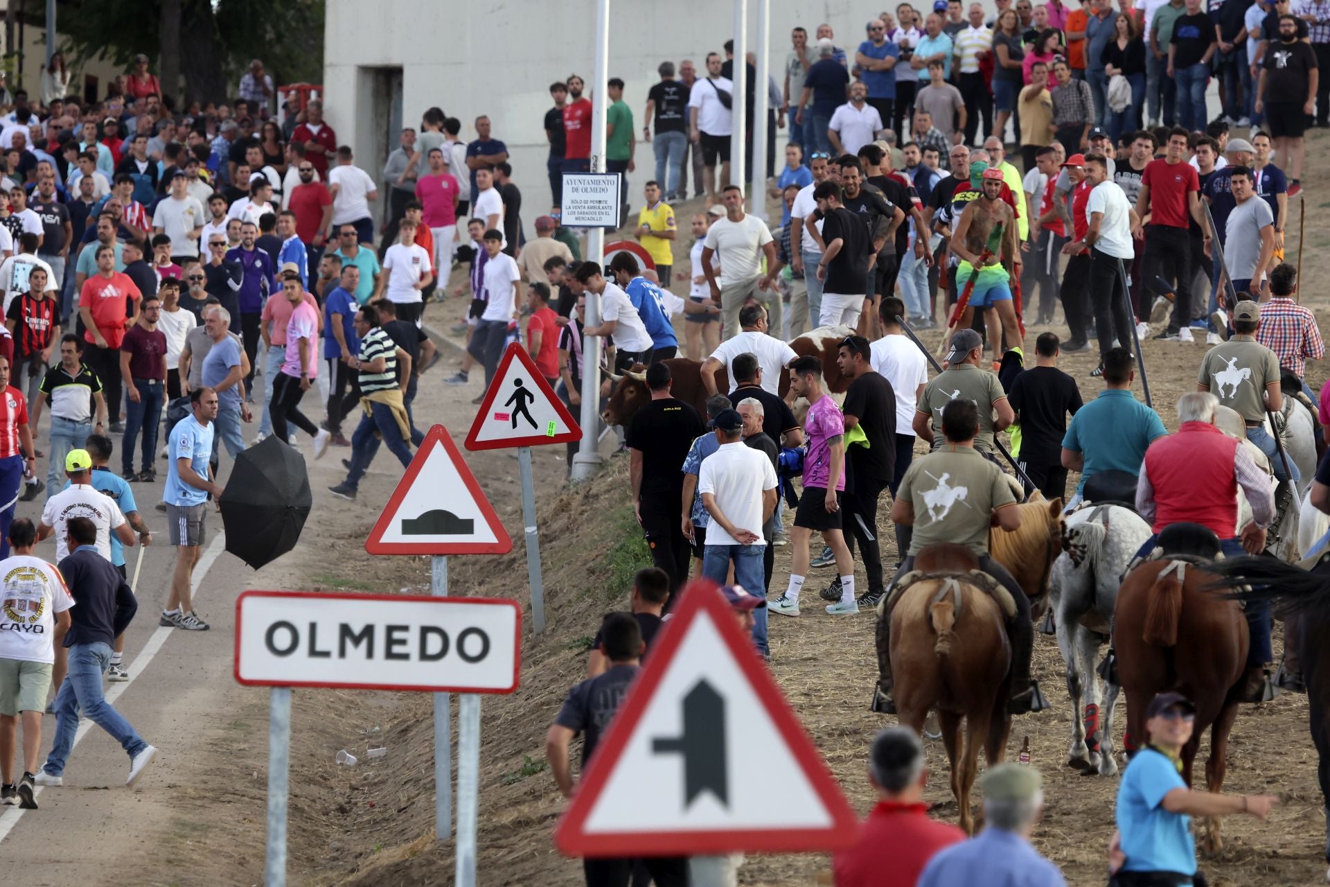 Encierro en Olmedo