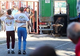 El toro, en el momento de su salida del cajón.