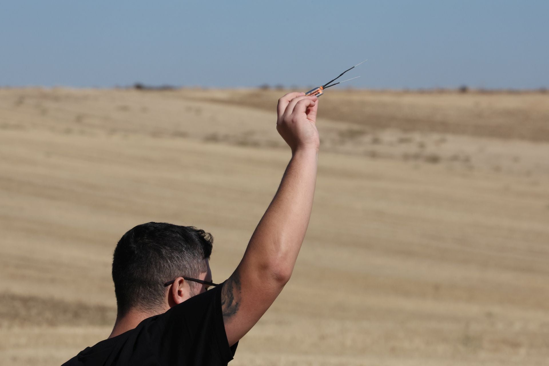 Las imágenes del I Encuentro Internacional de Cetrería en Nava del Rey