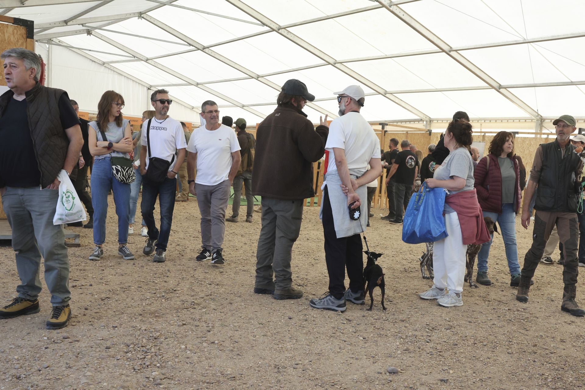 Las imágenes del I Encuentro Internacional de Cetrería en Nava del Rey