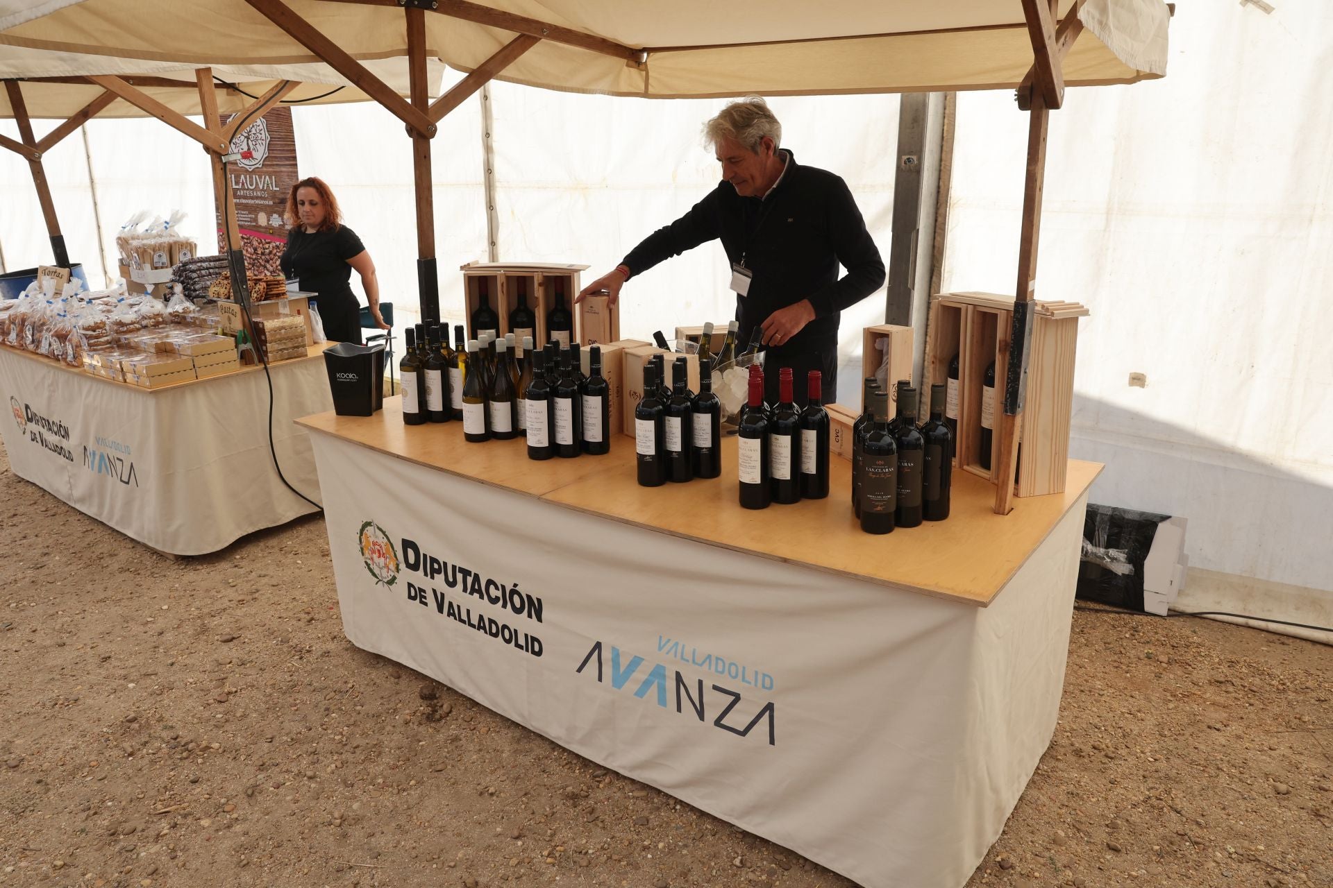 Las imágenes del I Encuentro Internacional de Cetrería en Nava del Rey