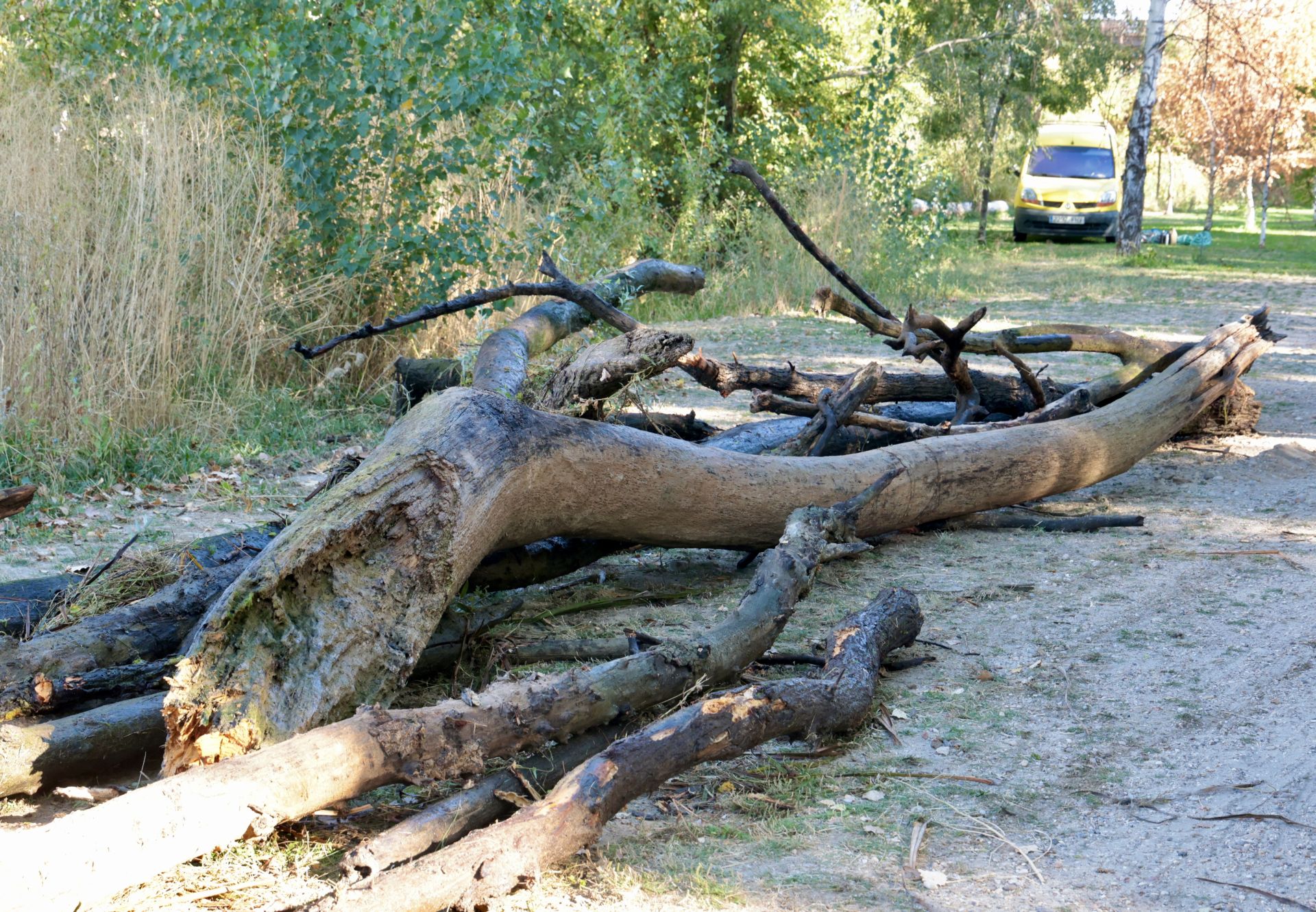 La limpieza de las antiguas aceñas del Puente Mayor, en imágenes