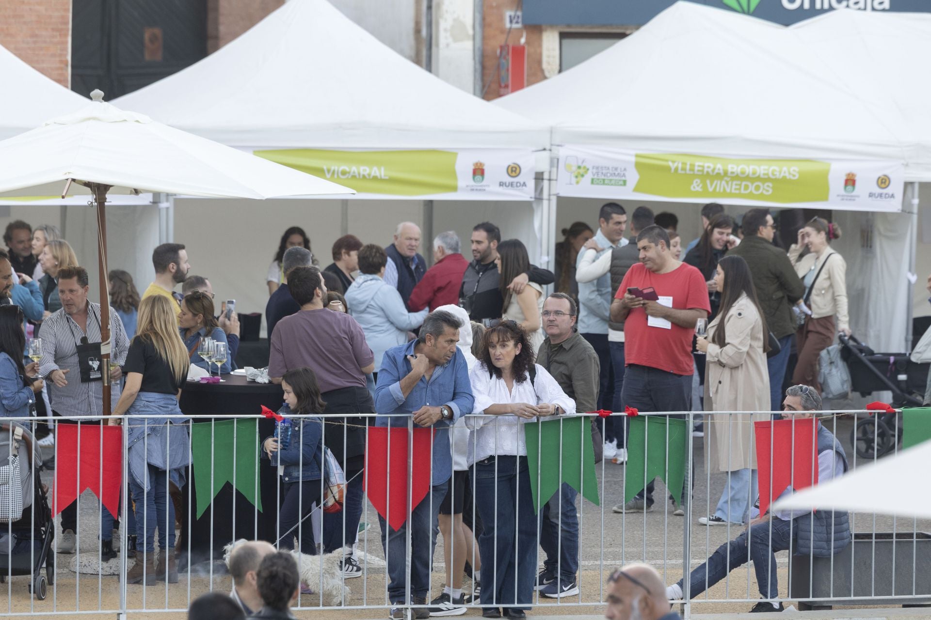 El buen ambiente marida con los vinos de la D.O. Rueda