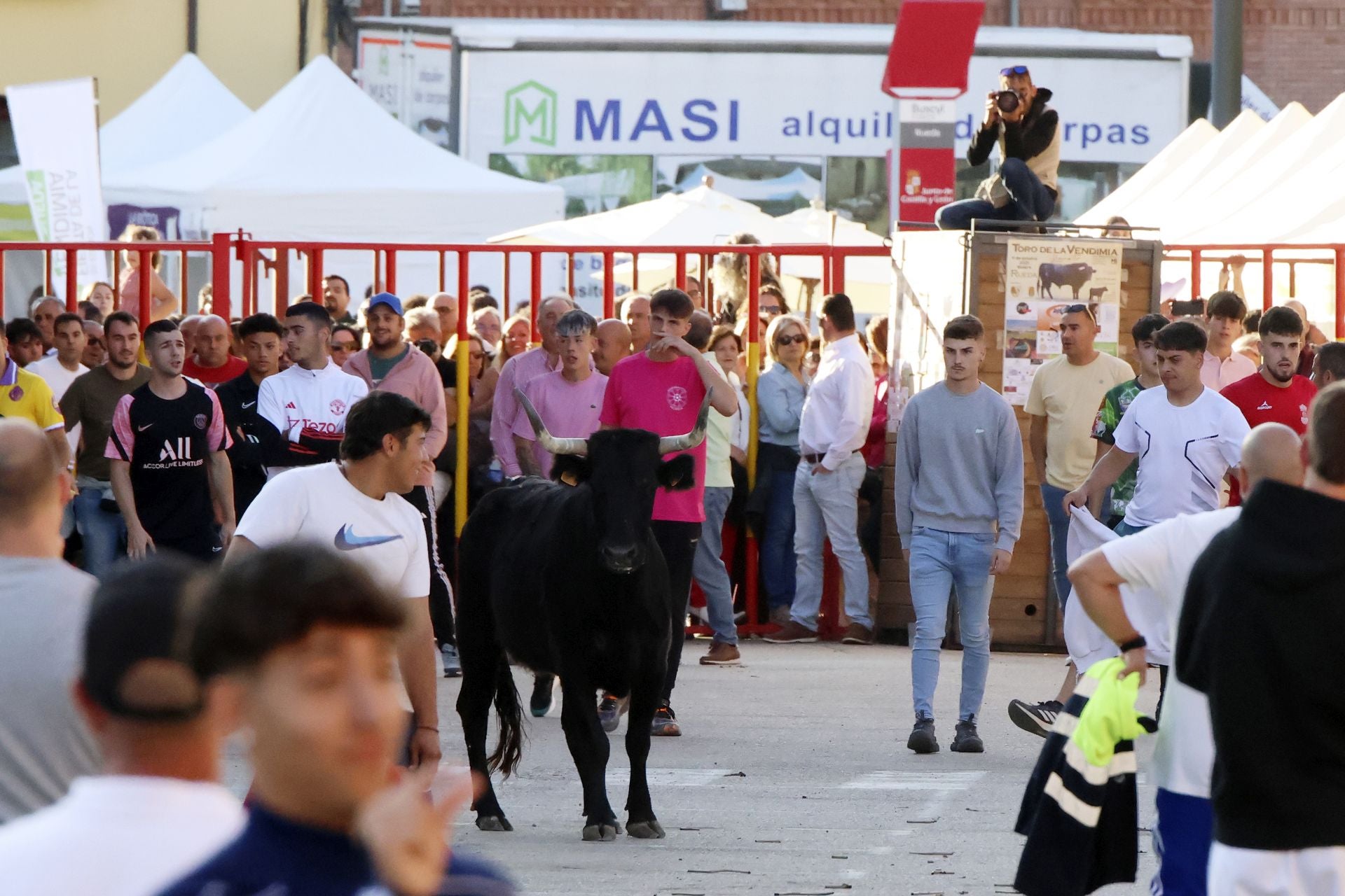 Las imágenes del toro de la vendimia en Rueda