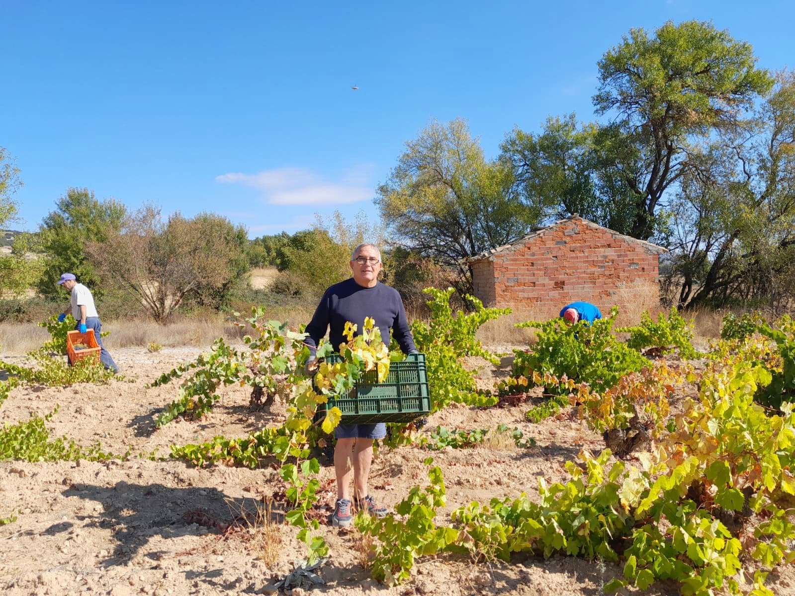 XVII Fiesta de la Vendimia en Castrillo de Don Juan