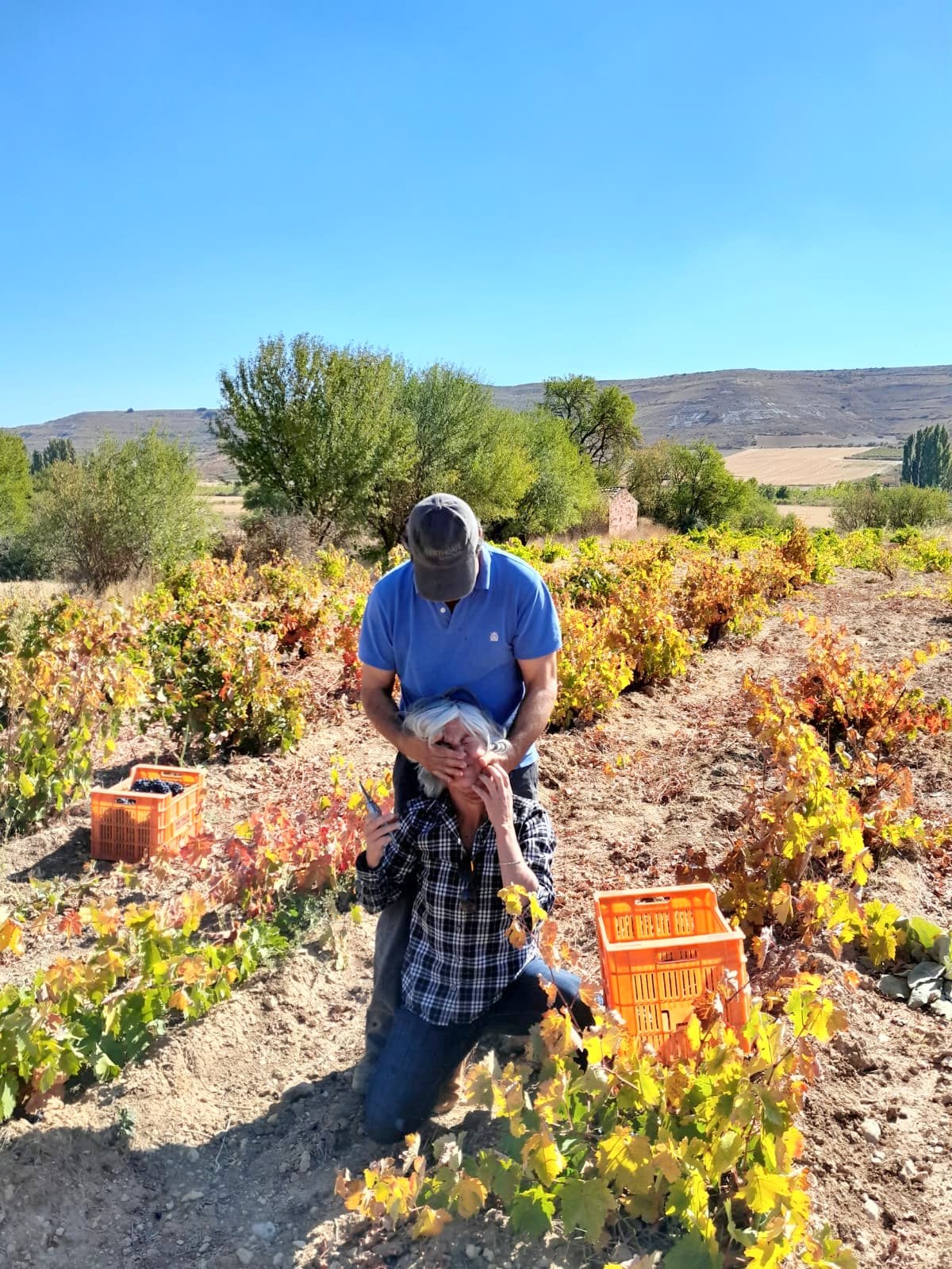 XVII Fiesta de la Vendimia en Castrillo de Don Juan