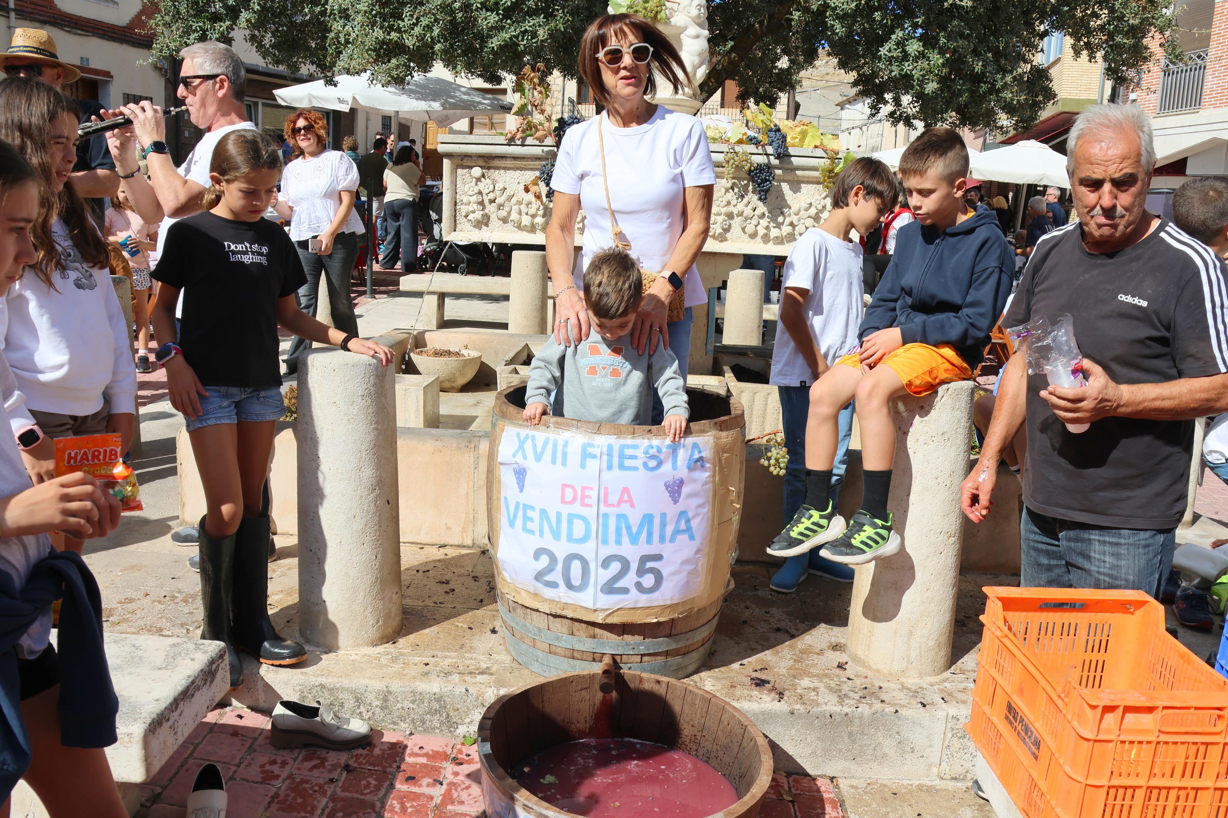 XVII Fiesta de la Vendimia en Castrillo de Don Juan