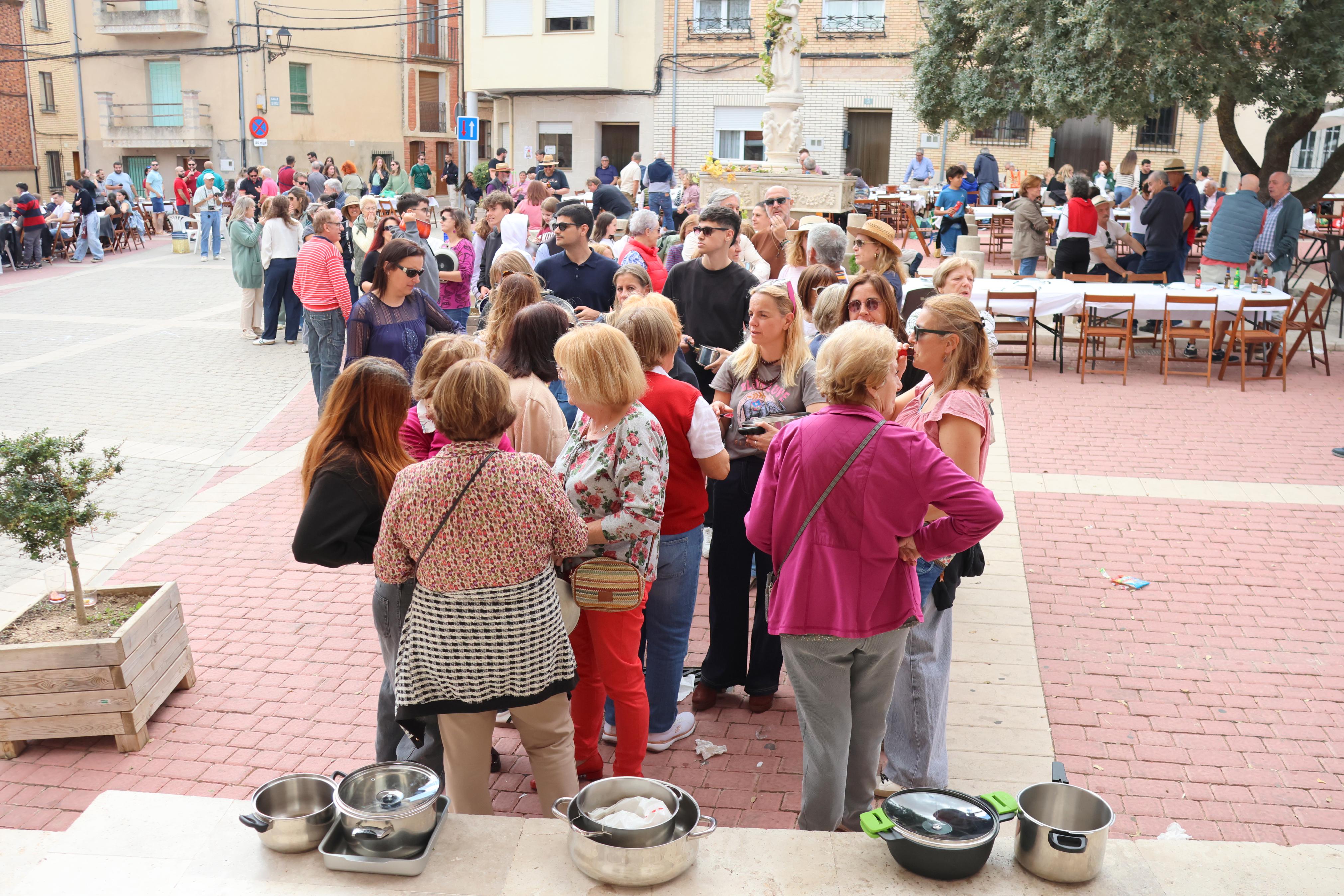 XVII Fiesta de la Vendimia en Castrillo de Don Juan