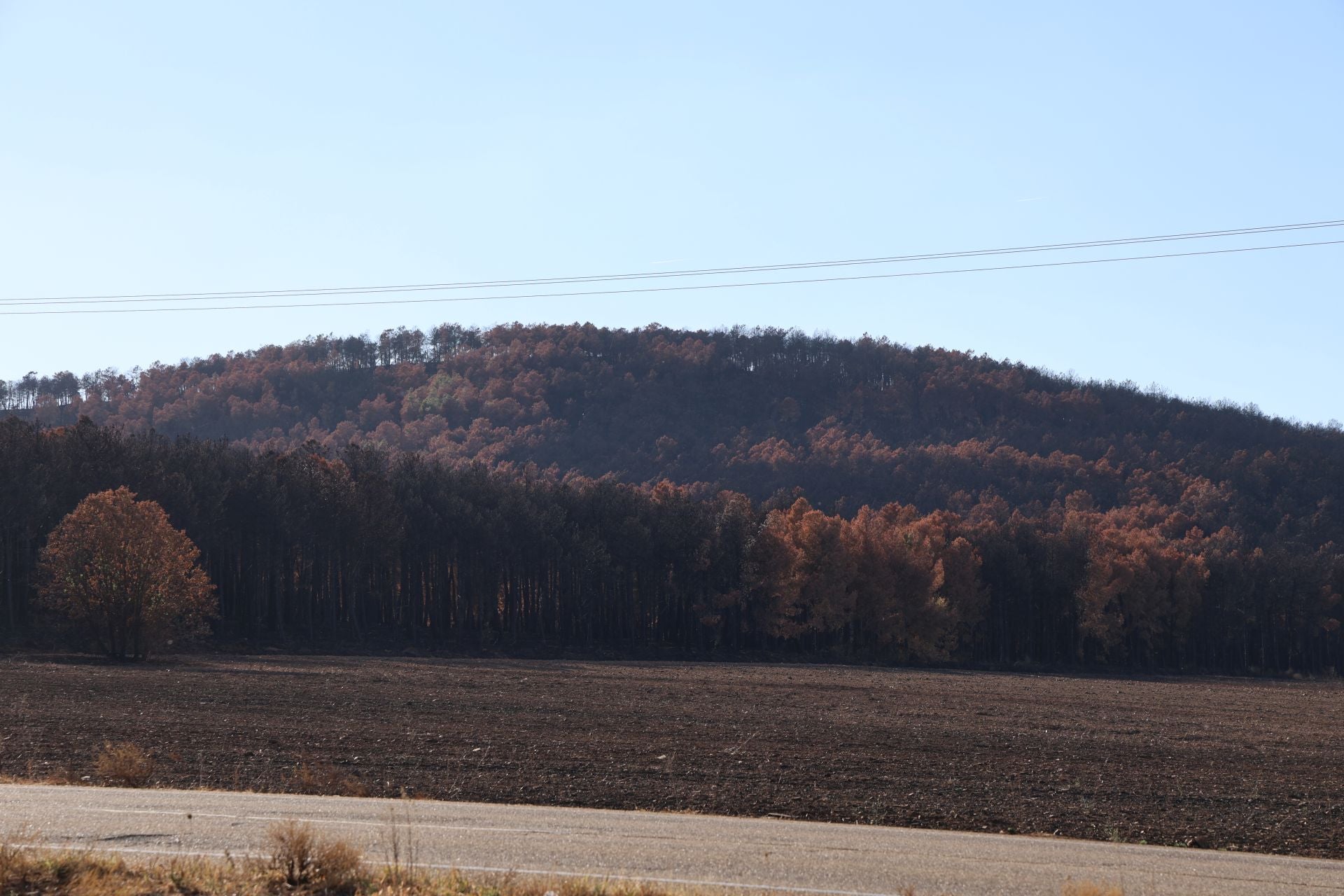Las imágenes de la situación actual en Castrocalbón y Quintana y Congosto tras los incendios