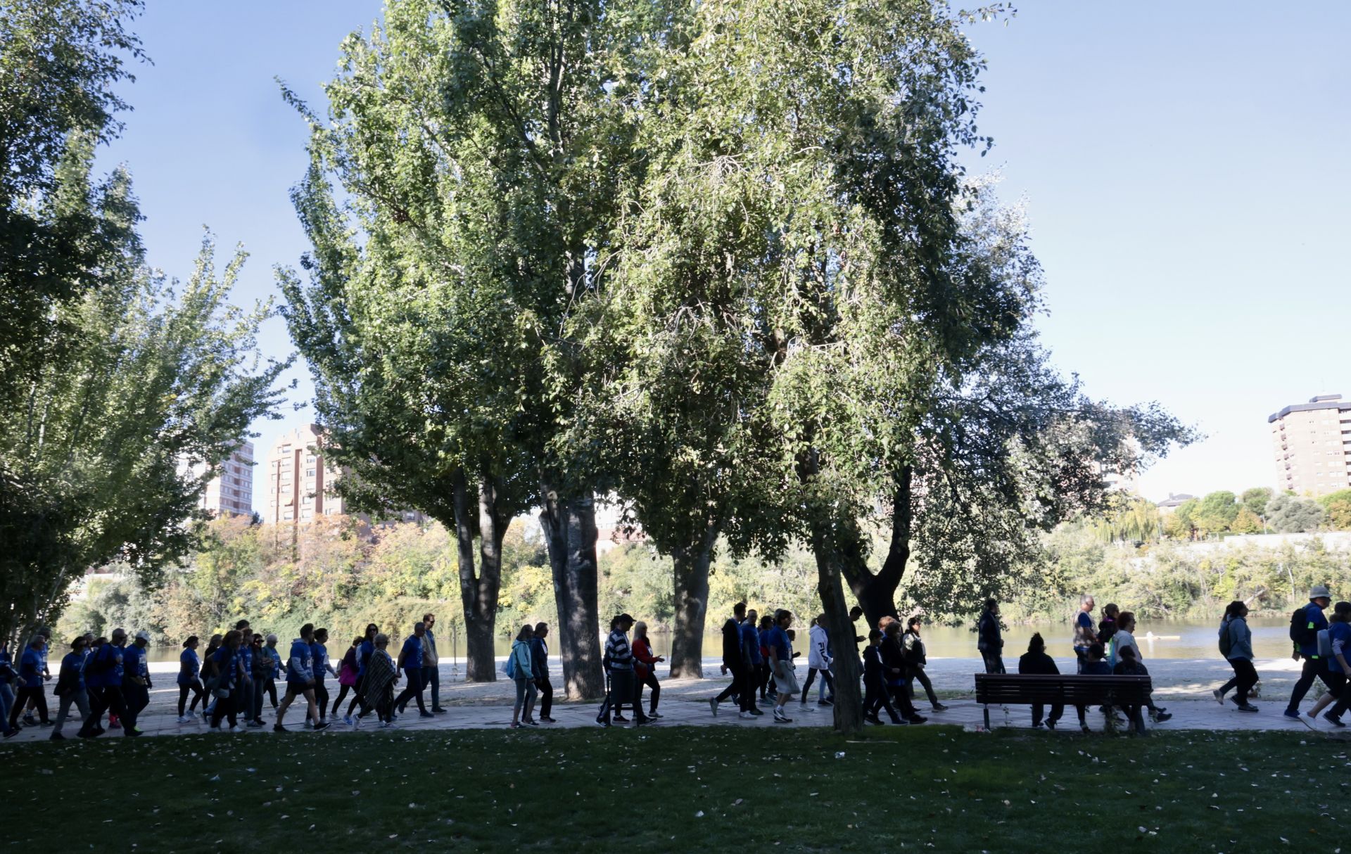Caminata popular a beneficio del Banco de Alimentos de Valladolid