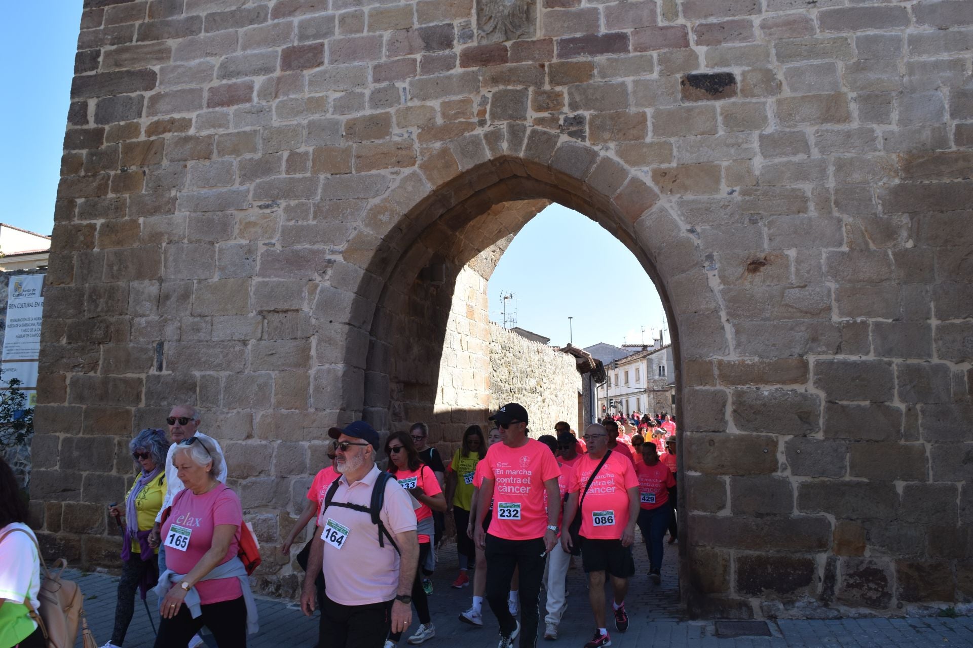 Aguilar de Campoo marcha contra el cáncer