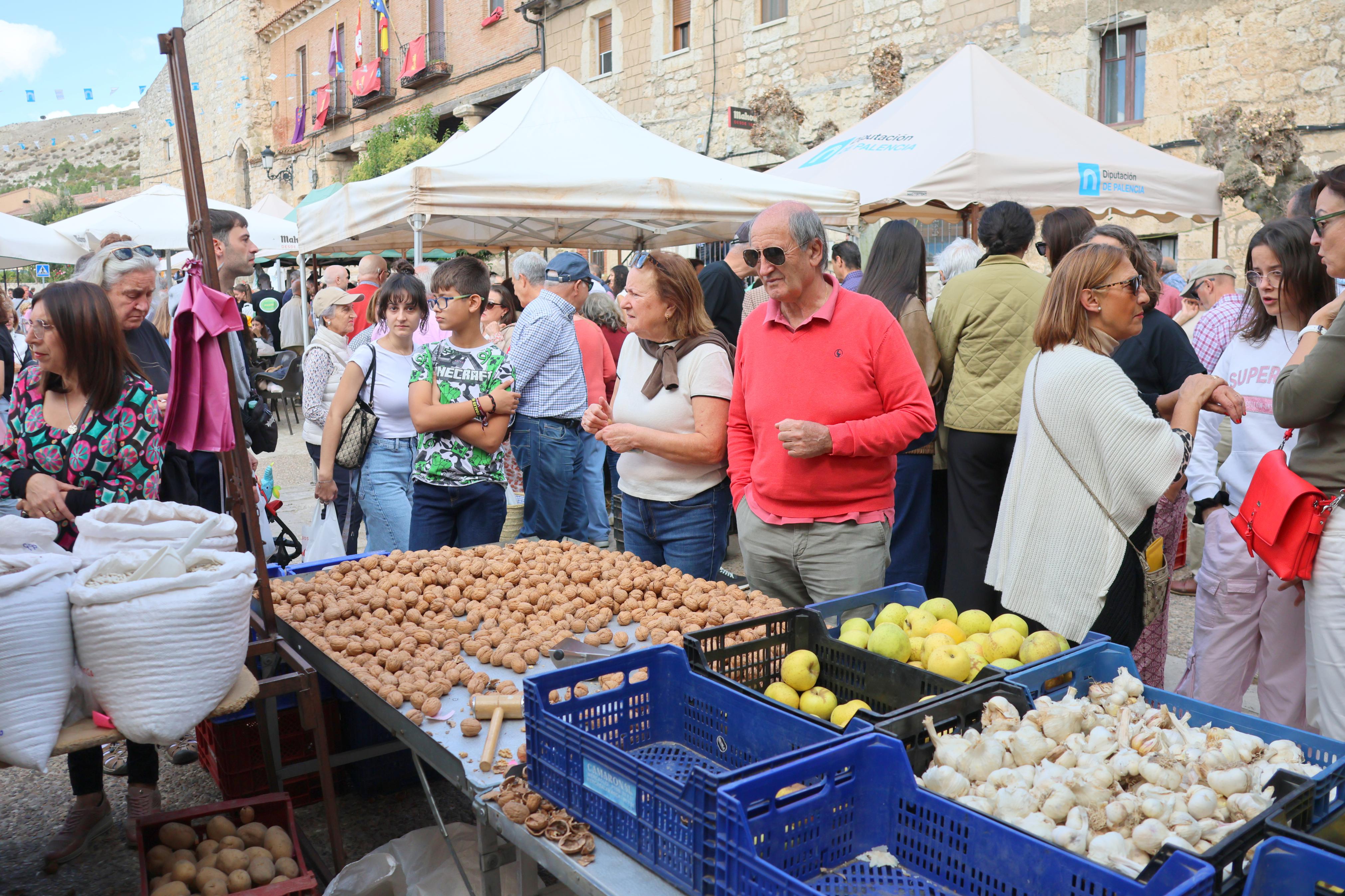 XX Feria de la Cebolla Horcal en Palenzuela