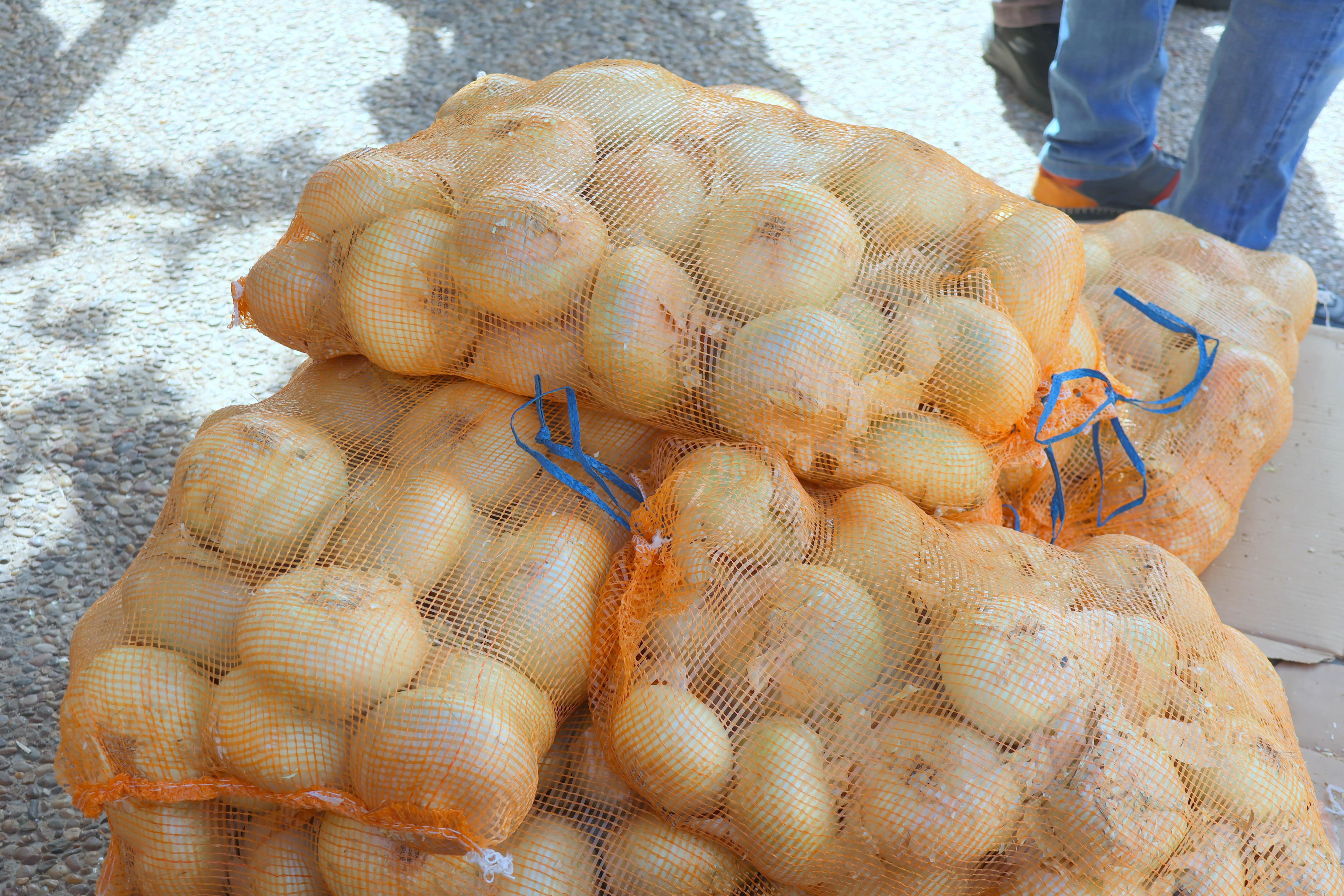 XX Feria de la Cebolla Horcal en Palenzuela