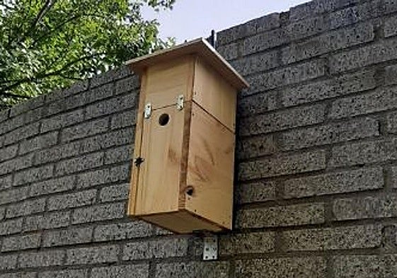 Caja-nido instalada en el campus de Palencia.