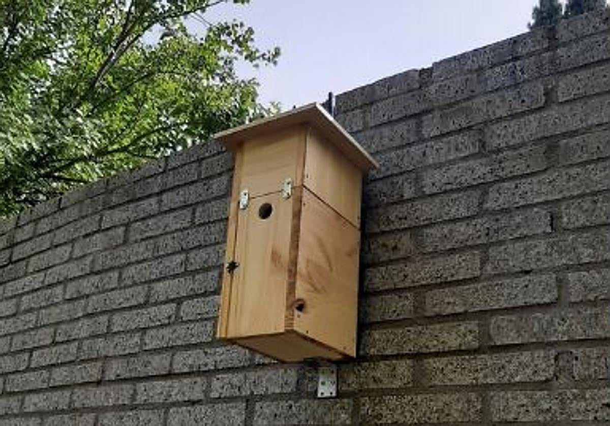 Caja-nido instalada en el campus de Palencia.
