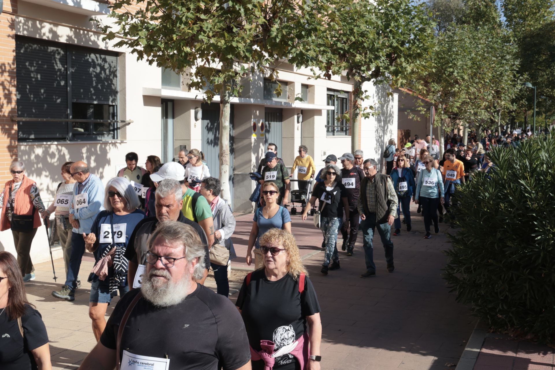 IV Marcha a favor de las personas con daño cerebral adquirido en Valladolid