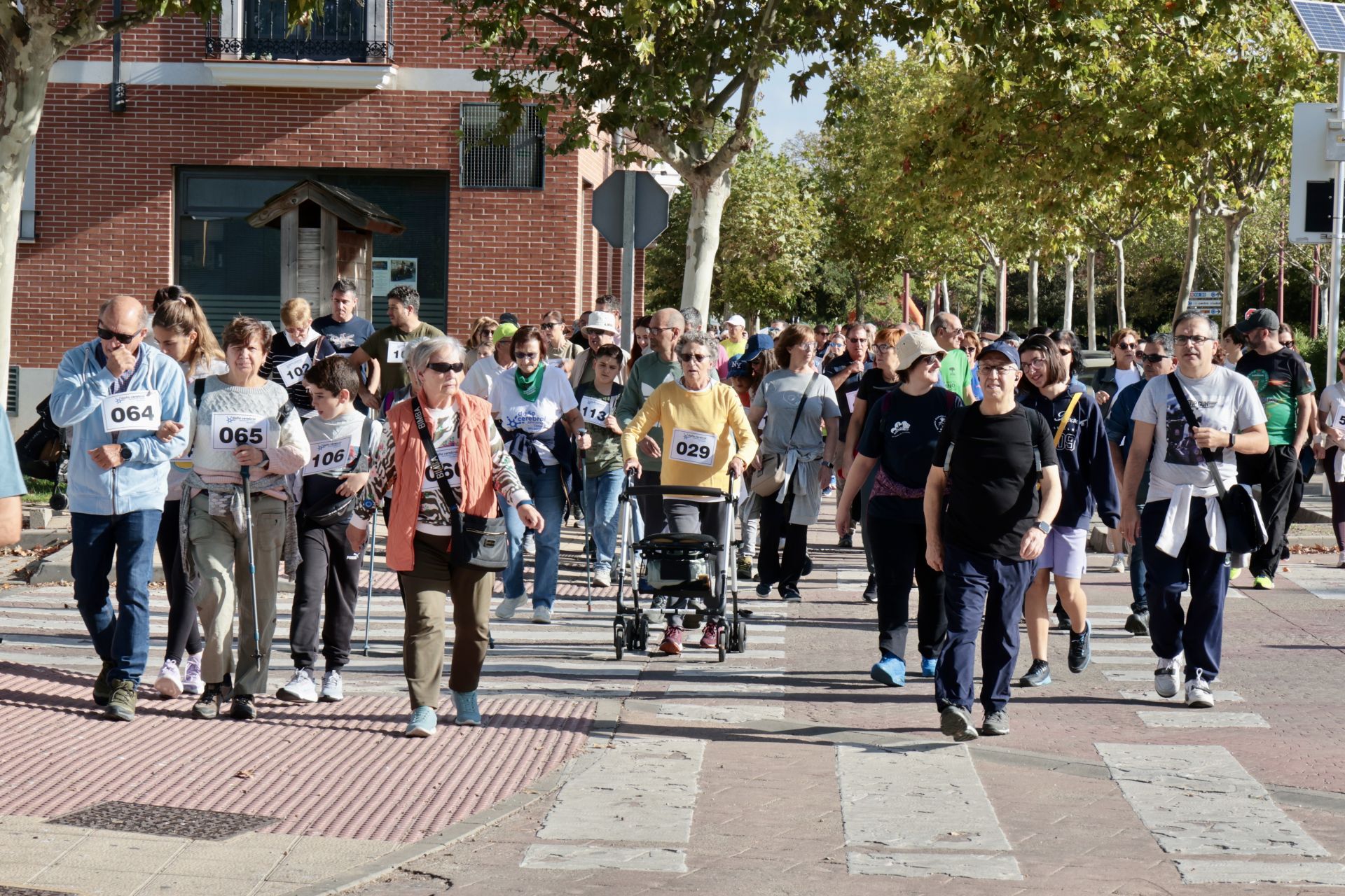 IV Marcha a favor de las personas con daño cerebral adquirido en Valladolid
