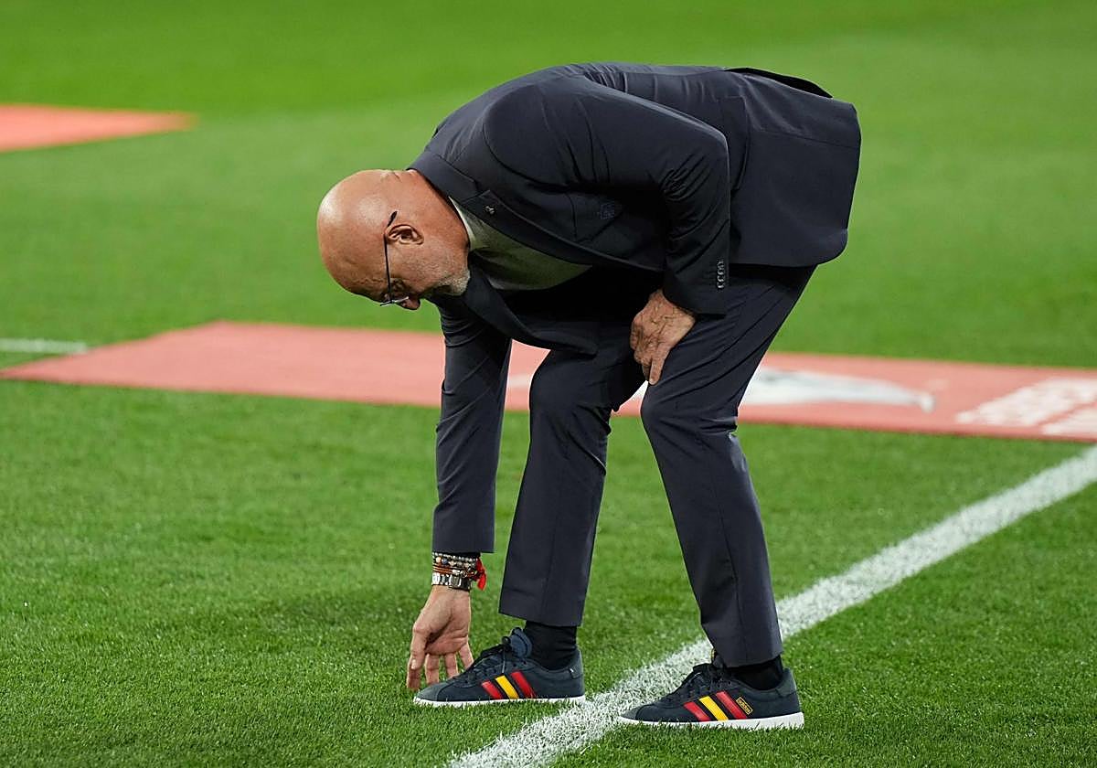 Luis de la Fuente revisa el estado del césped en Zorrilla.