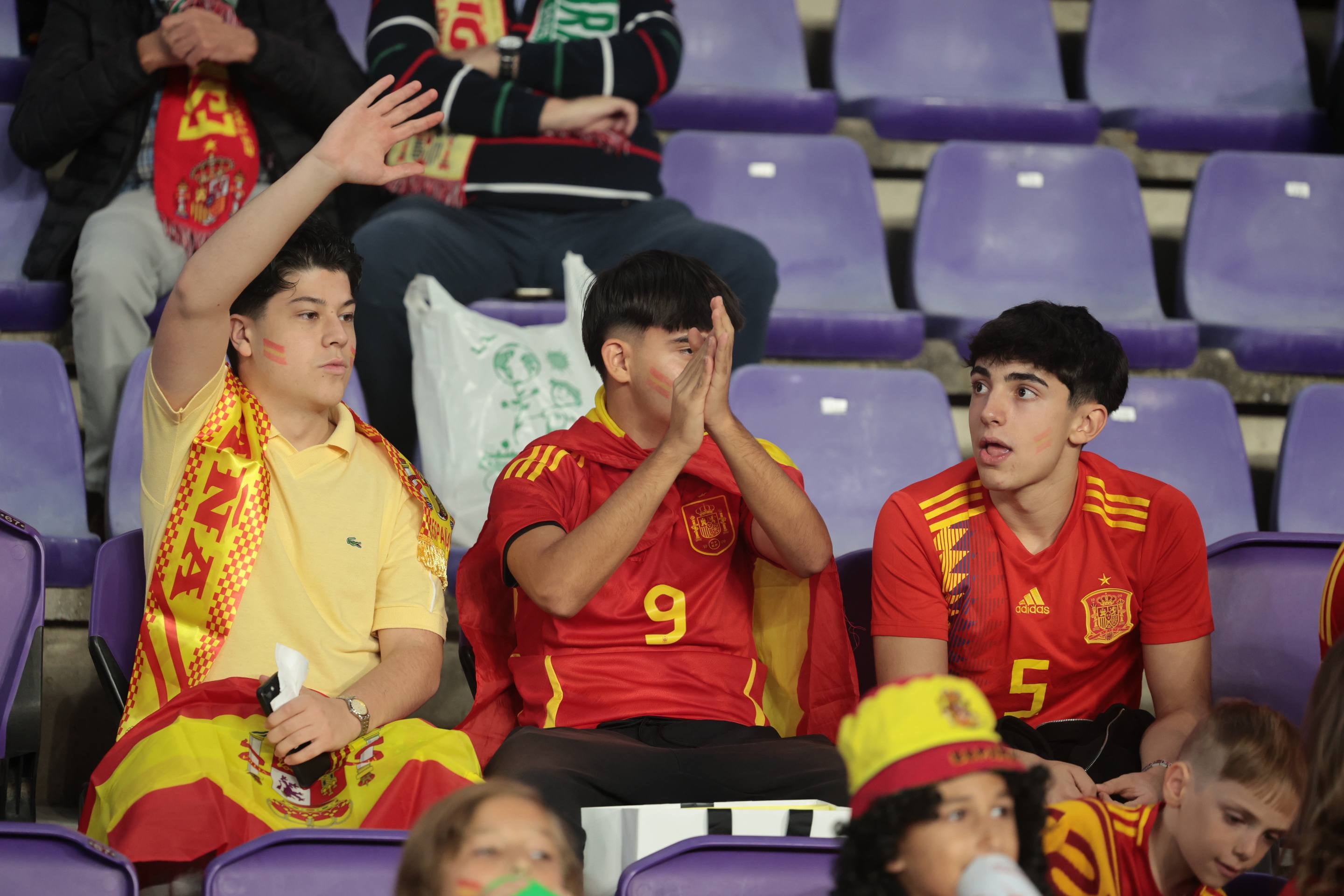 Búscate en la grada del José Zorrilla (4/4)