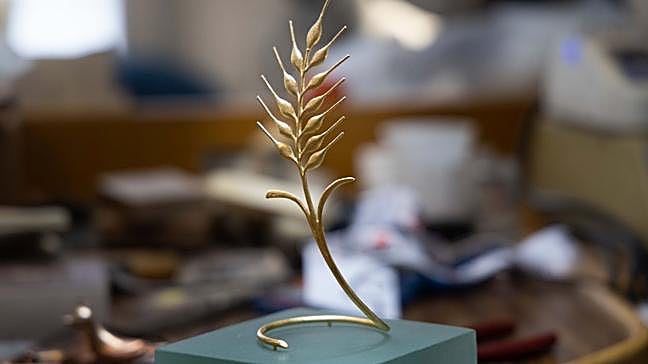 ¿Qué película ganó la espiga de oro de 2024?