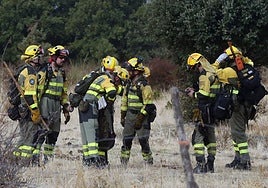 Efectivos de una brigada forestal en el incendio de La Pinilla.