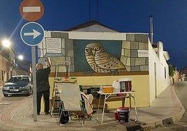 Trece murales conformarán un ecomuseo por diferentes puntos de la localidad vallisoletana de Nava del Rey.