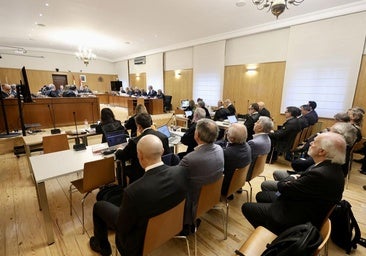 El exdirector de IDER denuncia que Delgado y el EREN consideraron «poco local» a la empresa, con sede en León