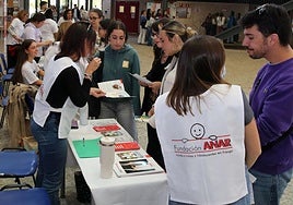 Feria del Voluntariado, ayer en el campus.