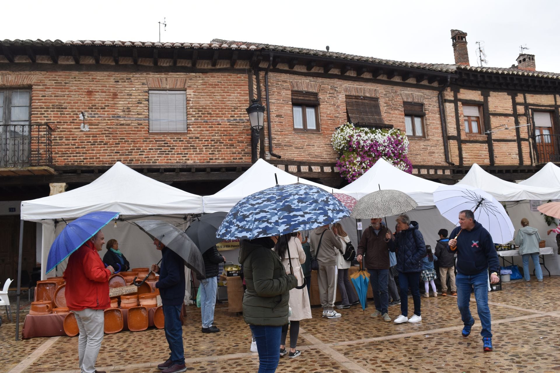 Saldaña presume de legumbres