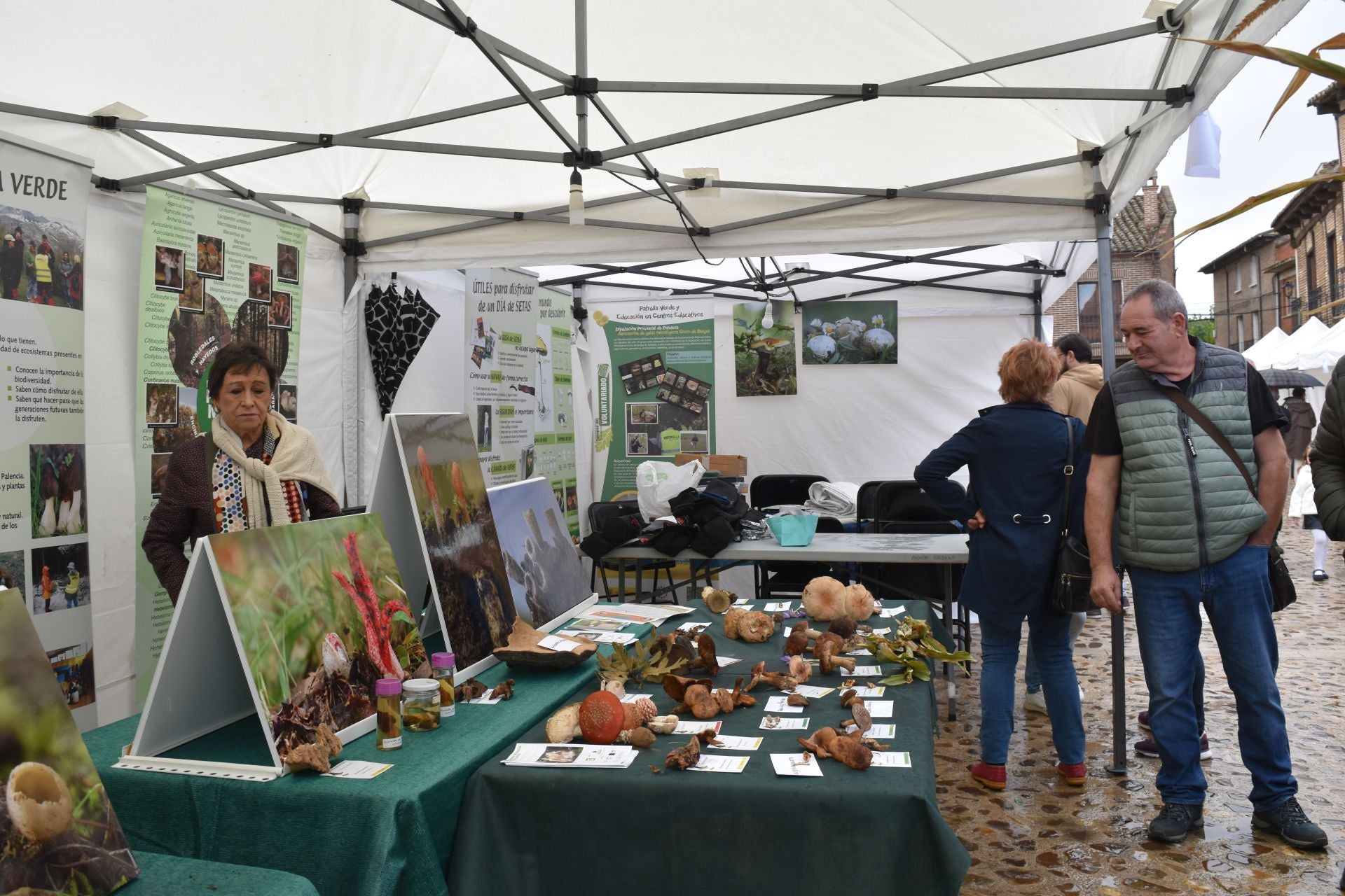 Saldaña presume de legumbres