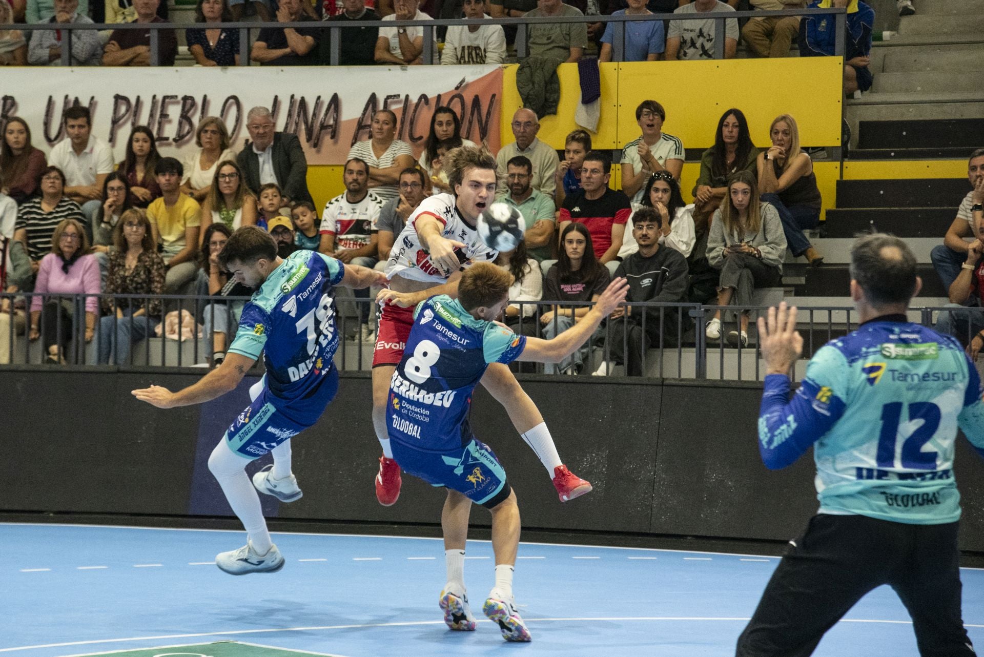 La derrota del Balonmano Nava, en imágenes