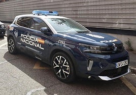 Coche de la Policía Nacional, en una imagen de archivo.