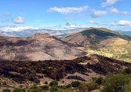 Terreno afectado por los incendios en la Montaña Palentina.